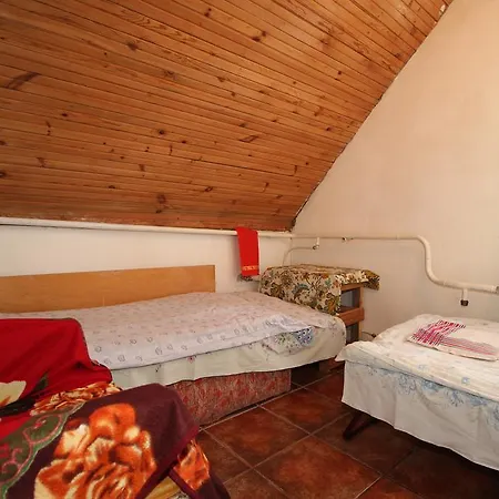 Usadba Alex Guest house 2*